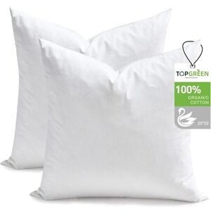 TOPGREEN 20x20 Pillow Inserts Organic Cotton Down Feather Foam White 2 Pack